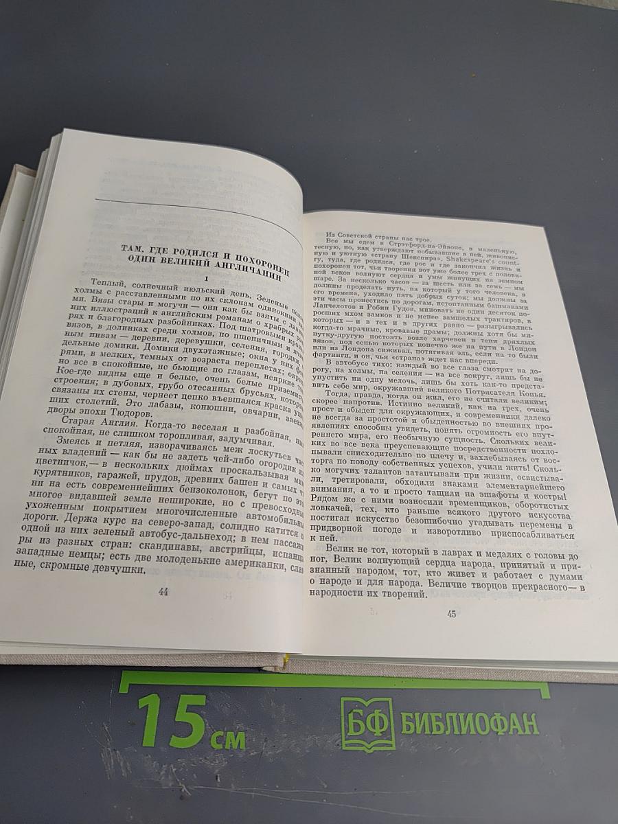 Публицистика. Воспоминания современников
