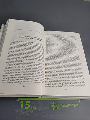 Публицистика. Воспоминания современников