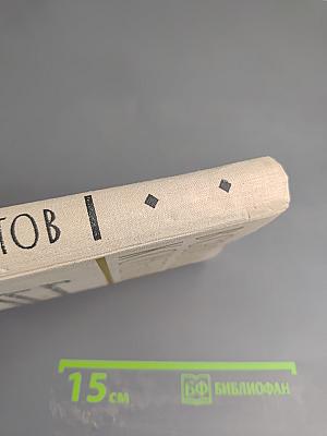 Публицистика. Воспоминания современников