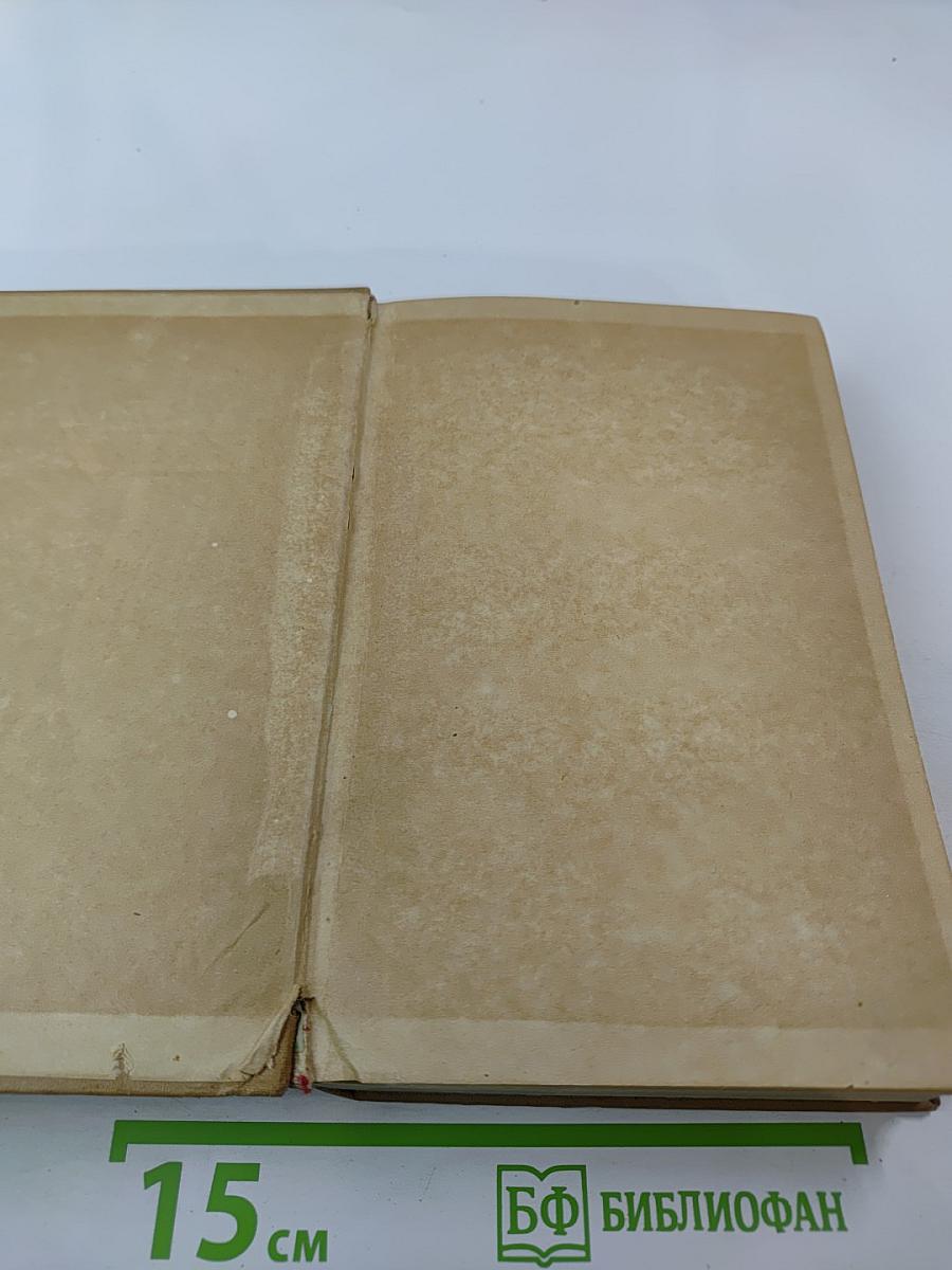 Съестная лавка королевы. Гусиные лапки. Воззрения аббата Жерома Куаньяра