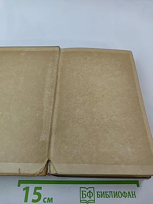 Съестная лавка королевы. Гусиные лапки. Воззрения аббата Жерома Куаньяра