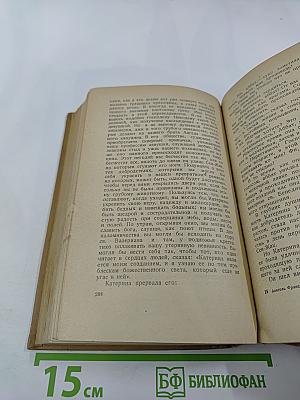 Съестная лавка королевы. Гусиные лапки. Воззрения аббата Жерома Куаньяра