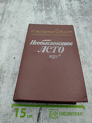 Необыкновенное лето