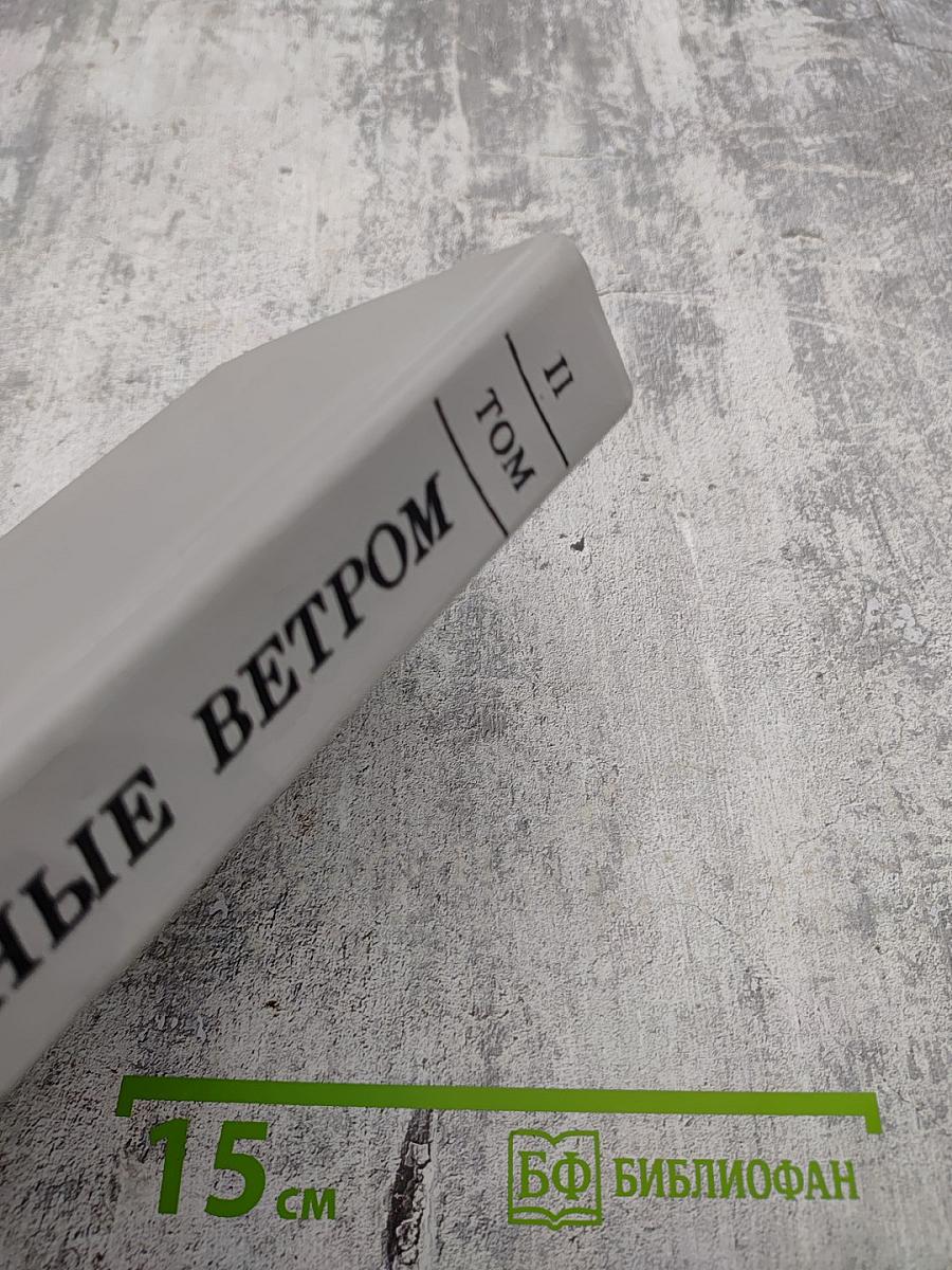 Унесенные ветром, Том II