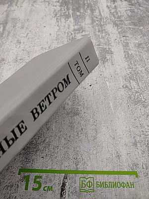 Унесенные ветром, Том II