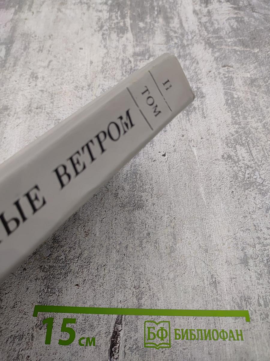 Унесенные ветром. Том II