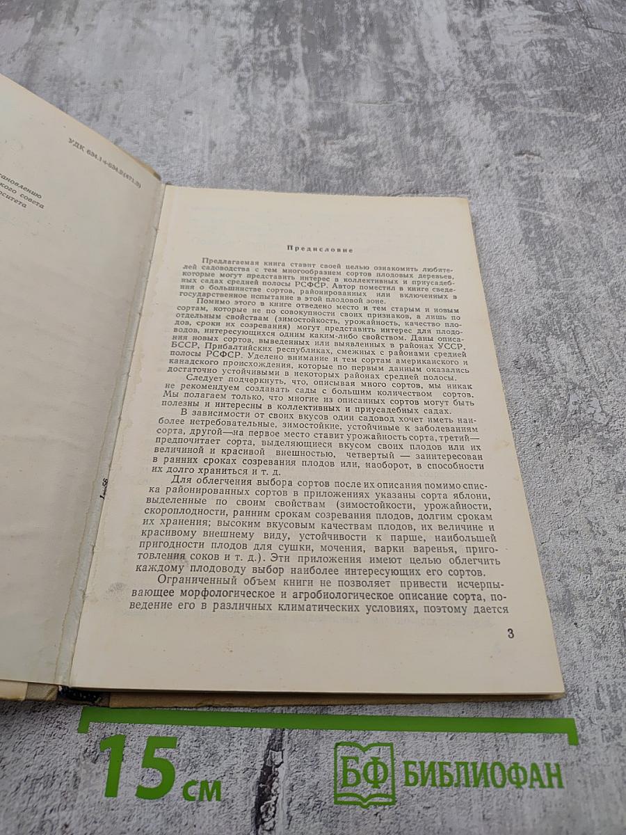 Сорта плодовых деревьев для коллективных и приусадебных садов средней полосы СССР