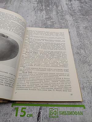 Сорта плодовых деревьев для коллективных и приусадебных садов средней полосы СССР