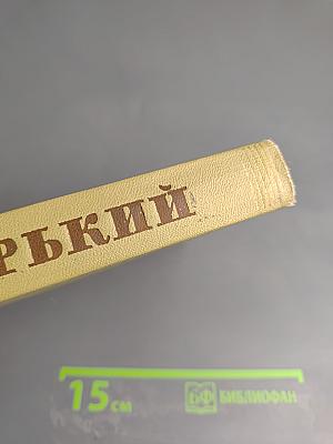 Собрание сочинений Том 18 Литературные портреты