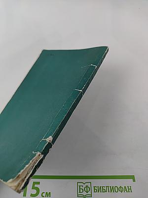 Трущобные люди: этюды с натуры