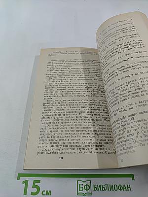 Выстрел в Орельей Гриве