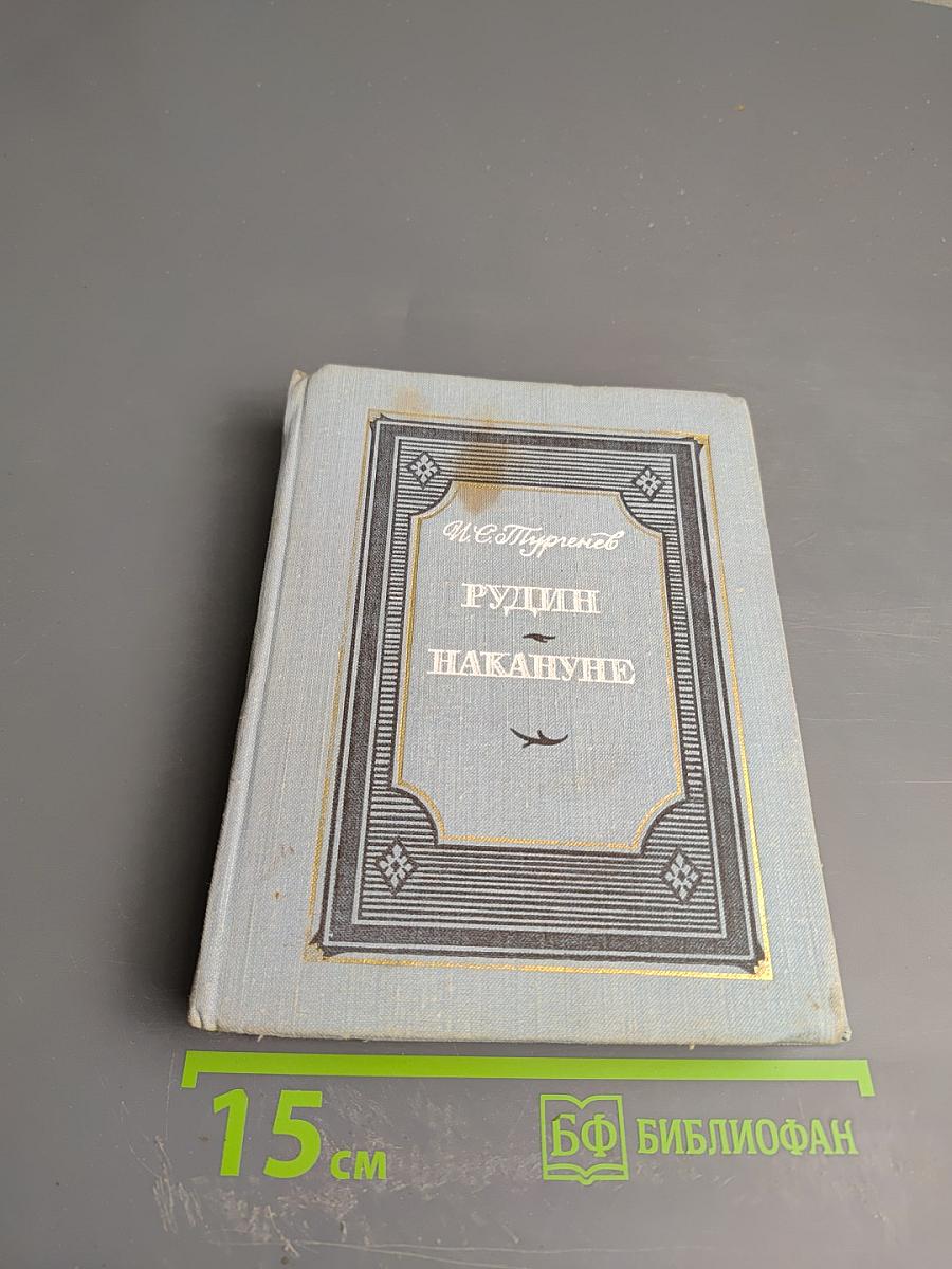 Рудин. Накануне