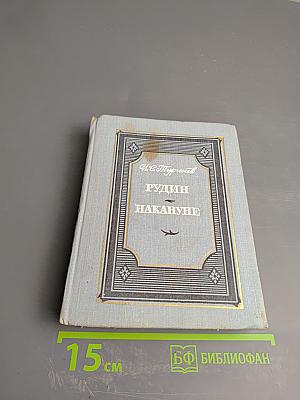 Рудин. Накануне