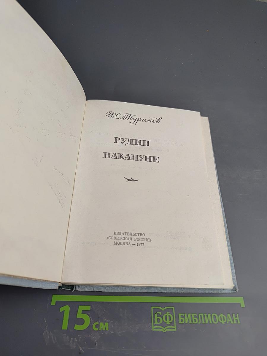 Рудин. Накануне