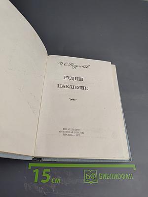 Рудин. Накануне