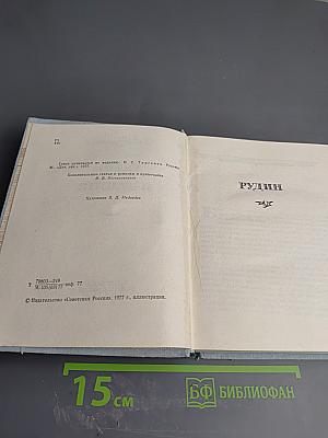 Рудин. Накануне