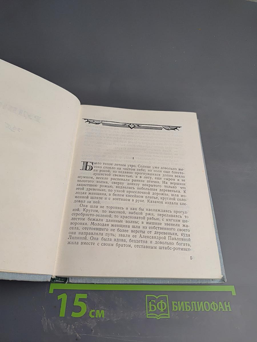 Рудин. Накануне