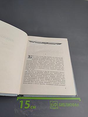 Рудин. Накануне