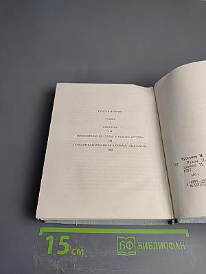 Рудин. Накануне