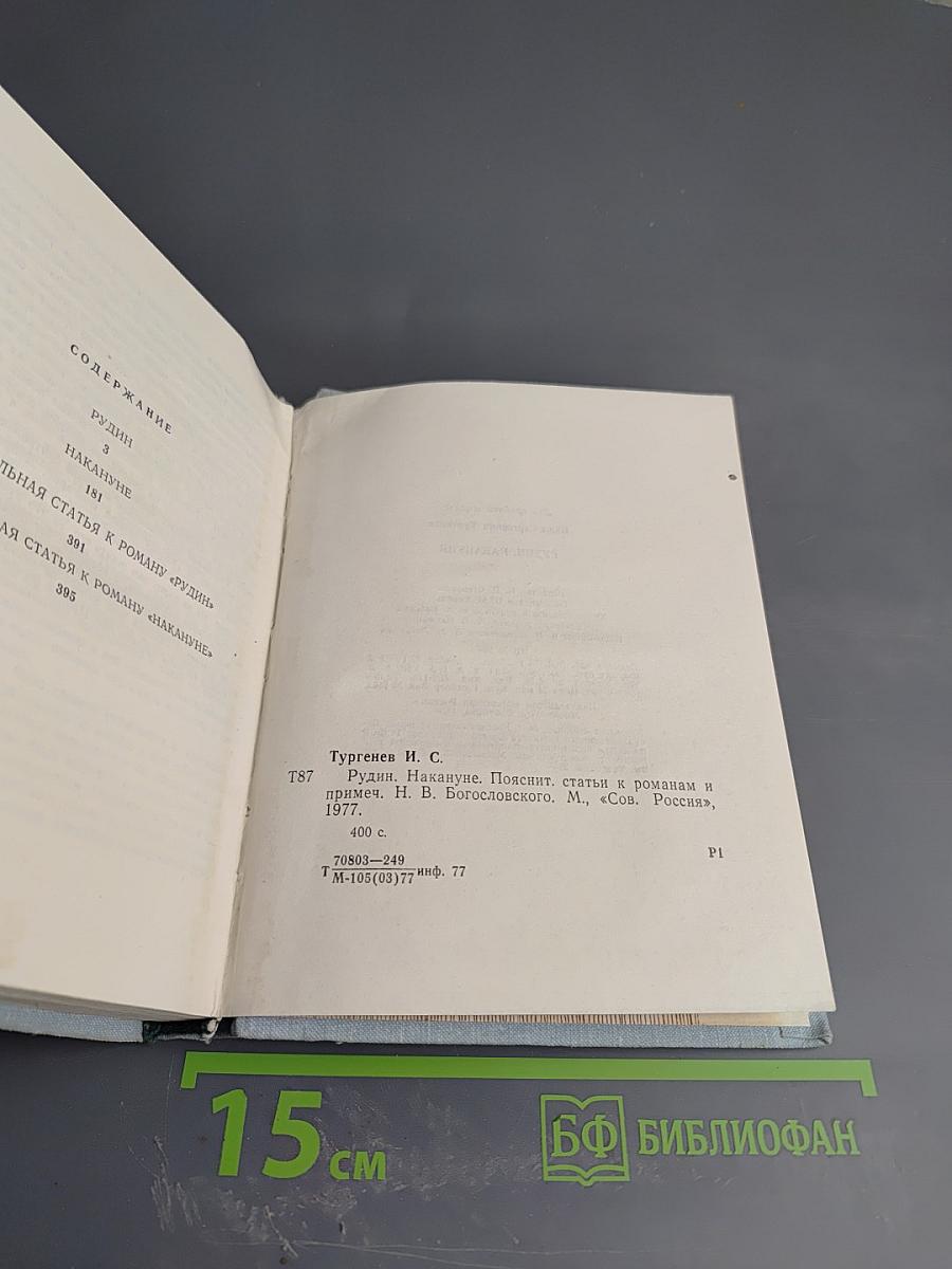 Рудин. Накануне