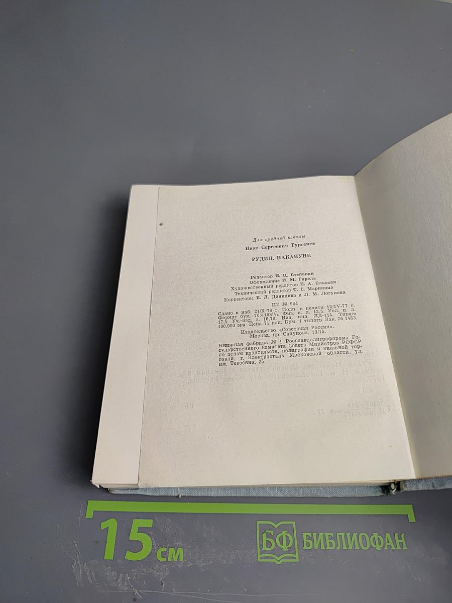 Рудин. Накануне