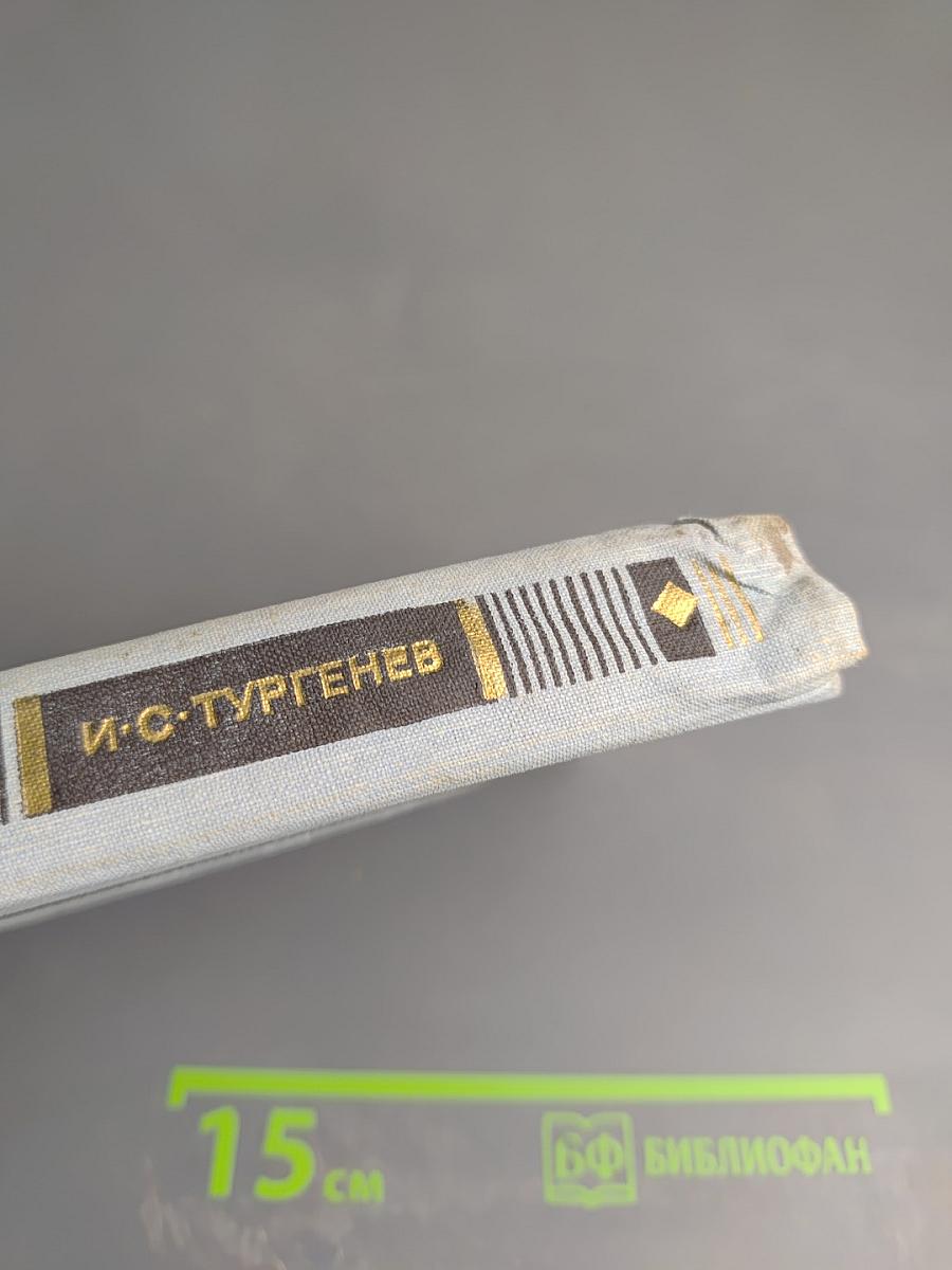 Рудин. Накануне