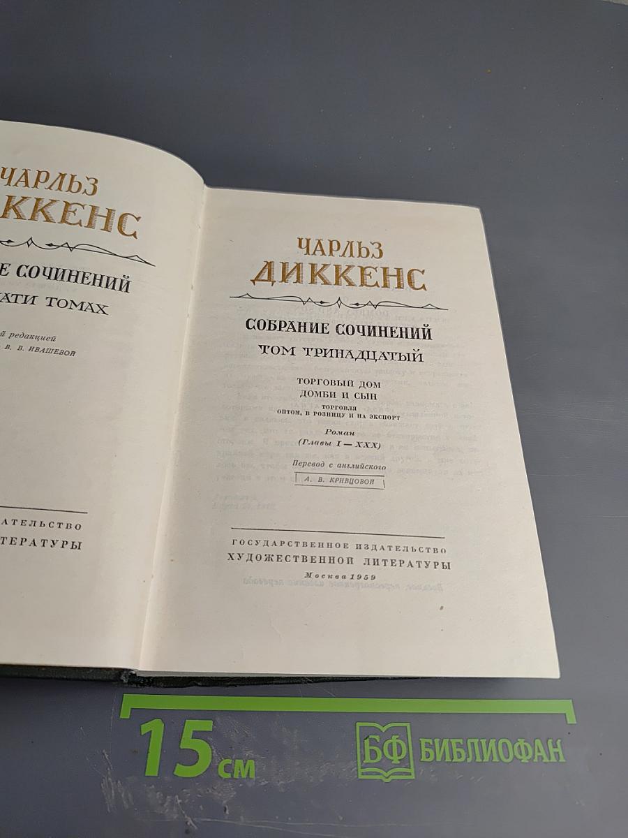 Торговый дом Домби и Сын (Собрание сочинений, Том тринадцатый)