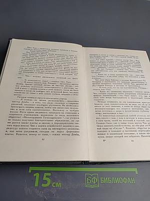 Торговый дом Домби и Сын (Собрание сочинений, Том тринадцатый)