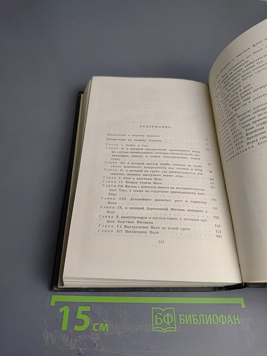 Торговый дом Домби и Сын (Собрание сочинений, Том тринадцатый)