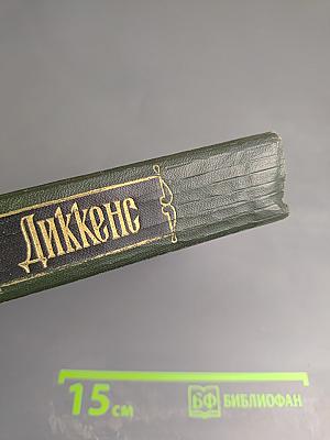 Торговый дом Домби и Сын (Собрание сочинений, Том тринадцатый)