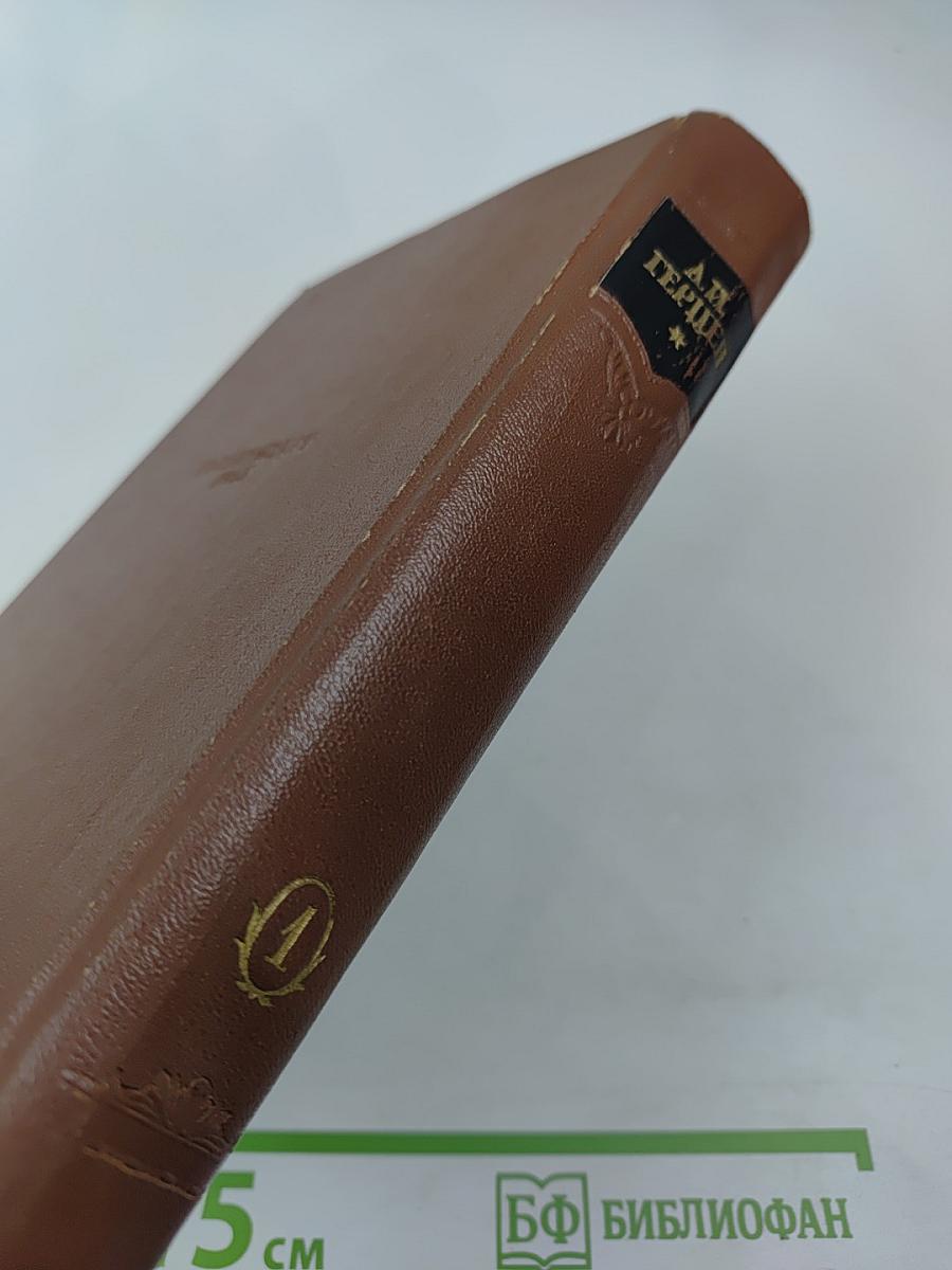 Сочинения. Том первый: Художественные произведения 1838–1851