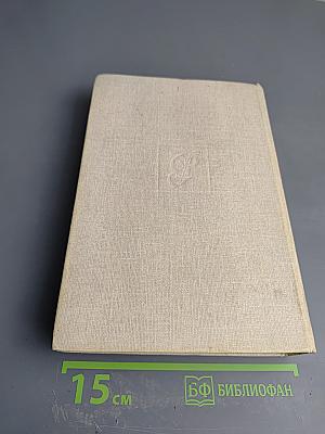 Слово и Дело. Книга первая: Царица престрашного зраку