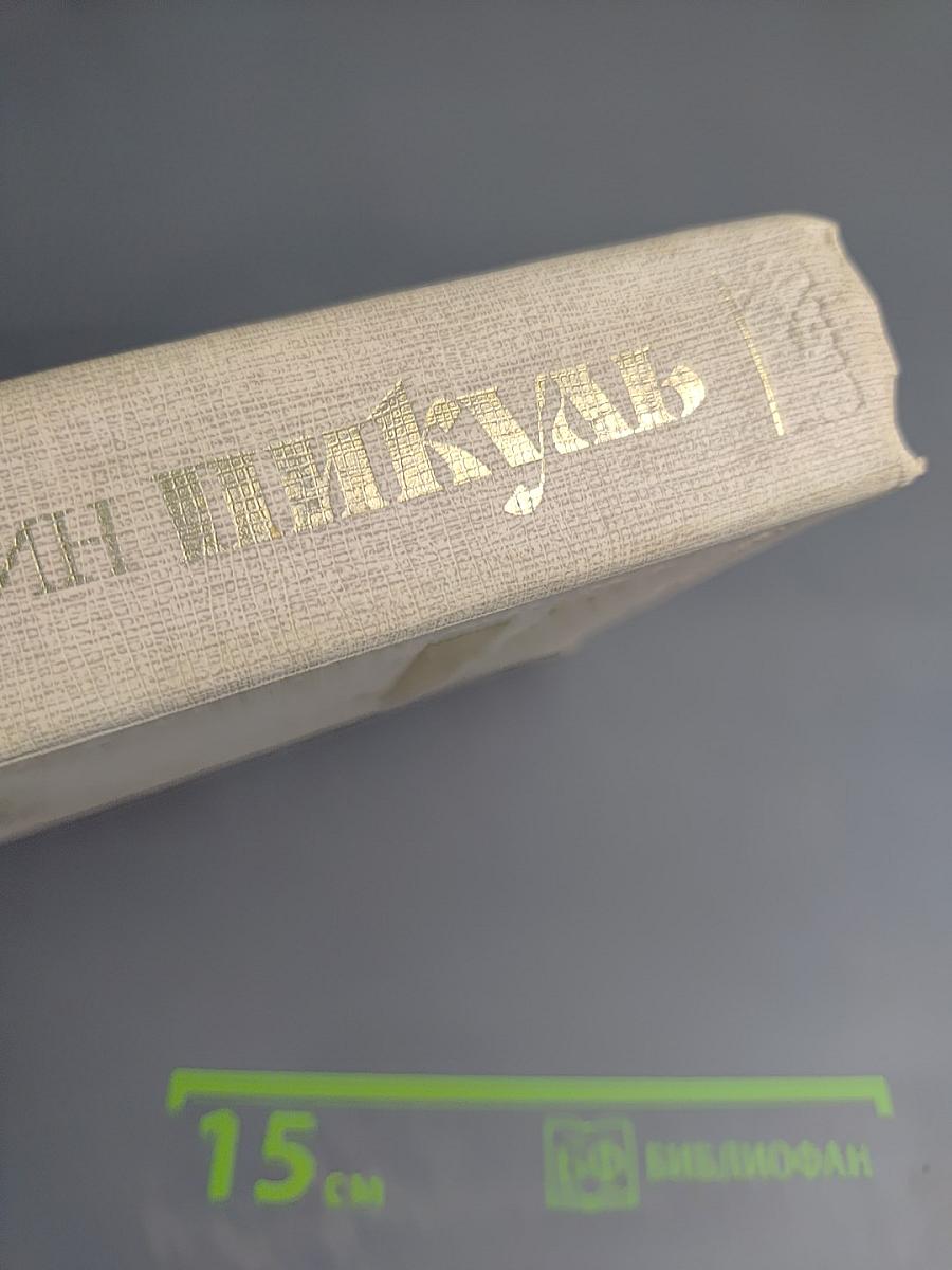 Слово и Дело. Книга первая: Царица престрашного зраку