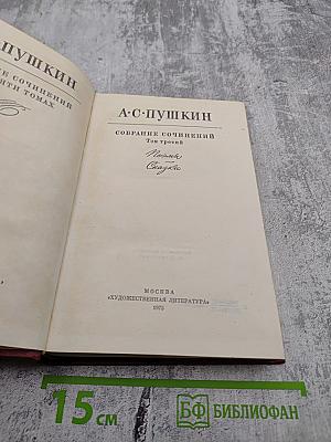 Собрание сочинений. Том третий. Поэмы. Сказки. Проза.
