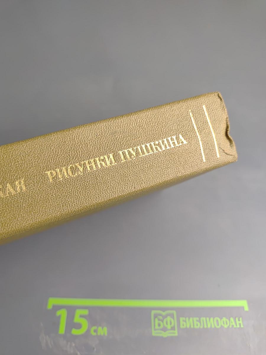 Рисунки Пушкина