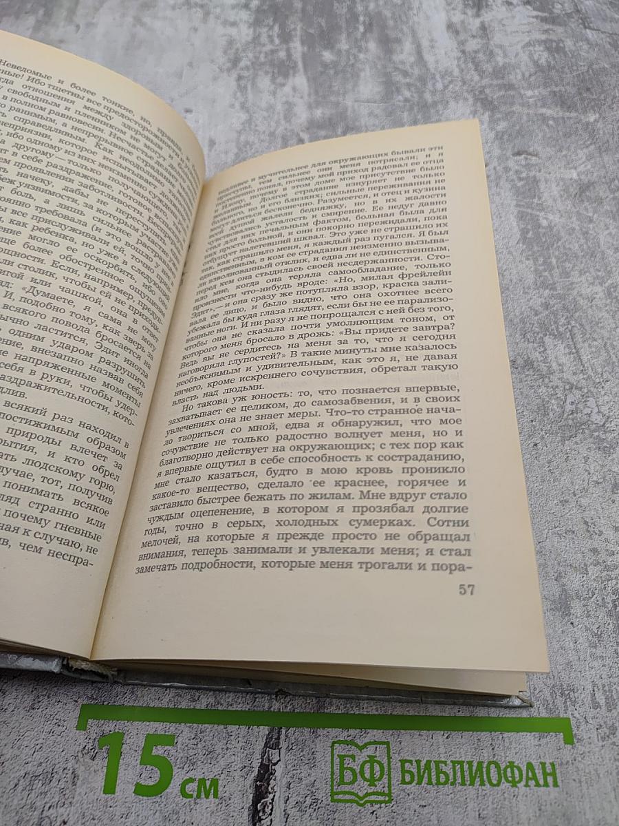 Нетерпение сердца. Исторические миниатюры