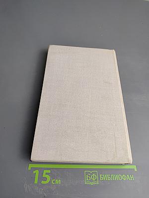 Дитя урагана