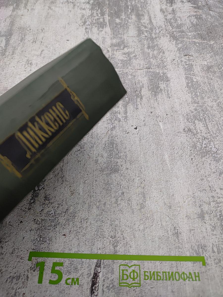 Собрание сочинений. Том восьмой. Барнеби Радж