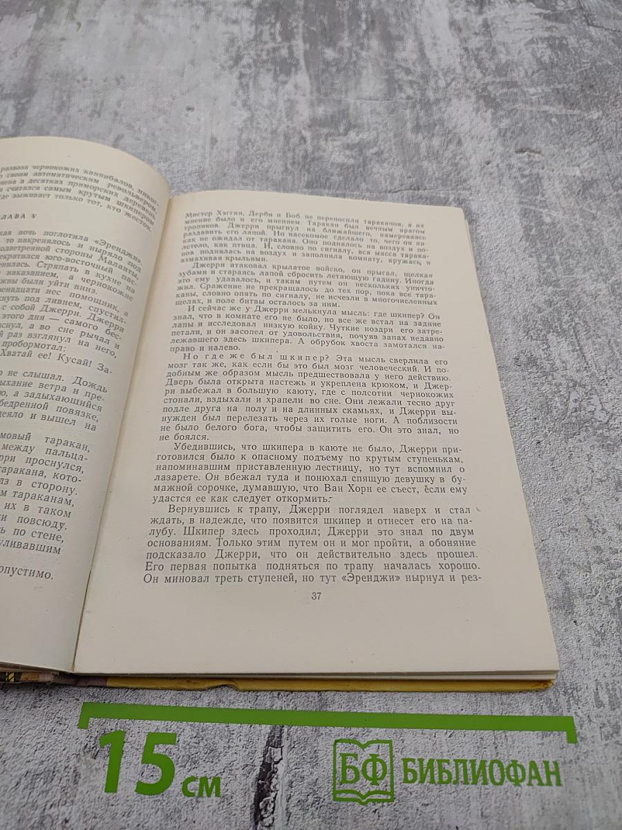 Джерри-островитянин