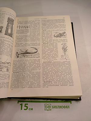 Малая Советская Энциклопедия. Том 6: Минеры - Первомайка