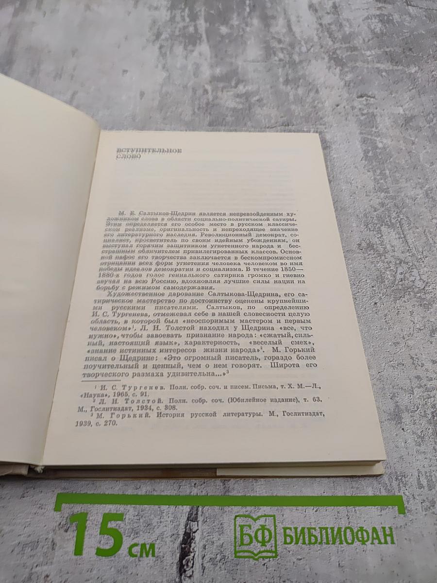 Салтыков-Щедрин. Искусство сатиры