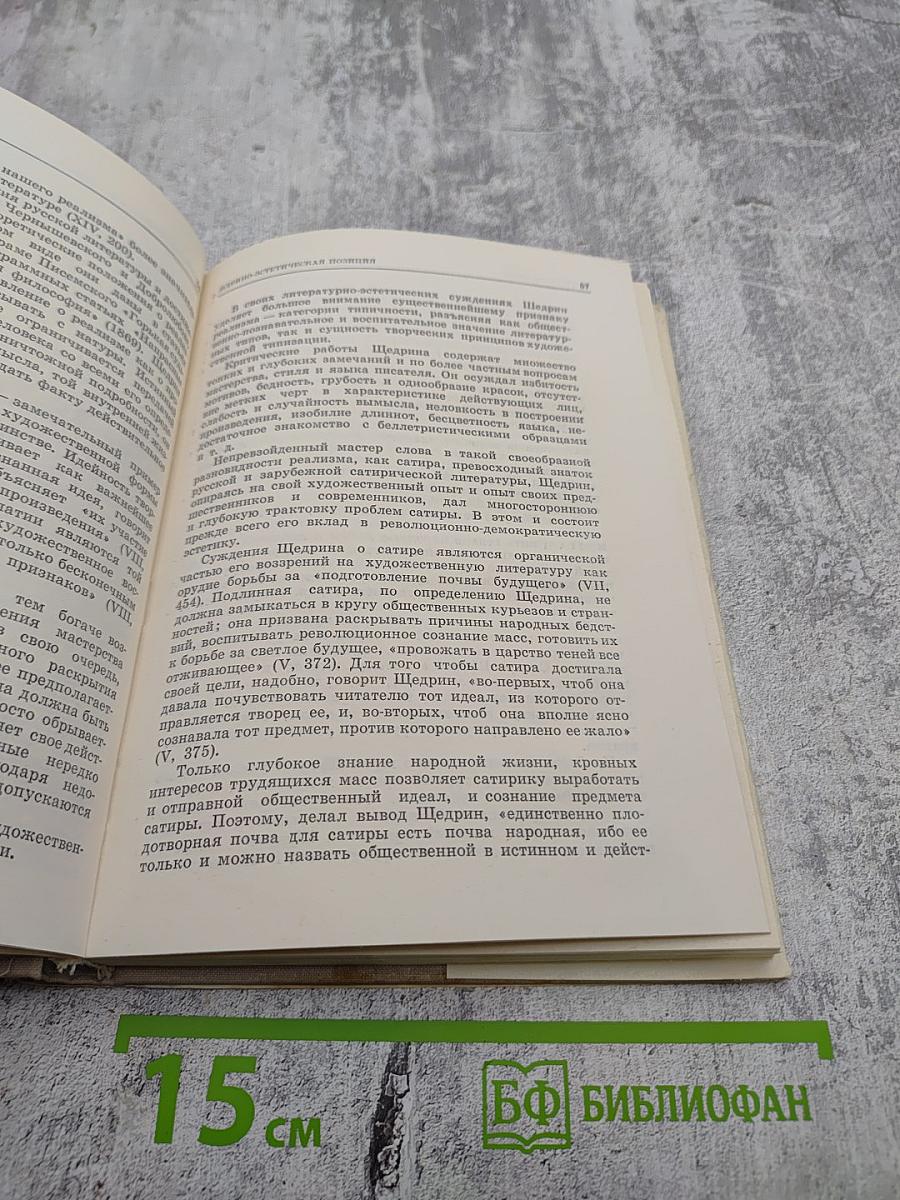 Салтыков-Щедрин. Искусство сатиры