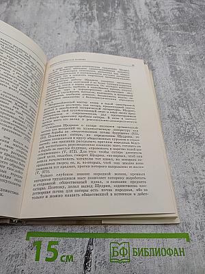 Салтыков-Щедрин. Искусство сатиры