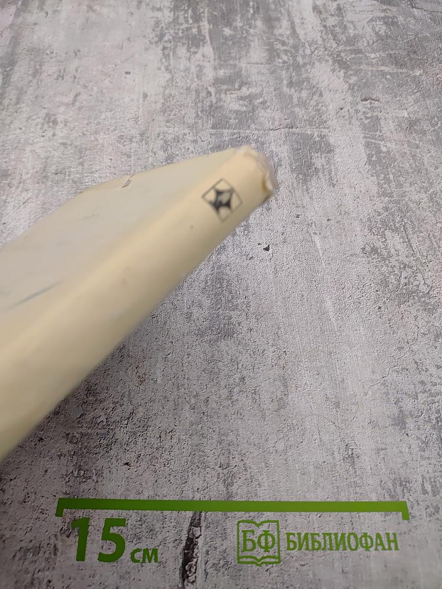 Салтыков-Щедрин. Искусство сатиры