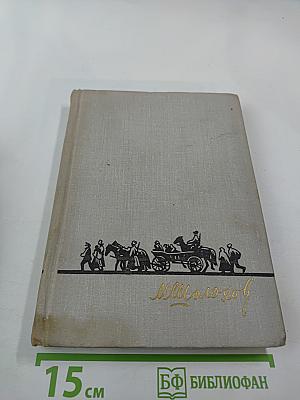 Тихий Дон. Роман в четырех книгах. Книга четвертая