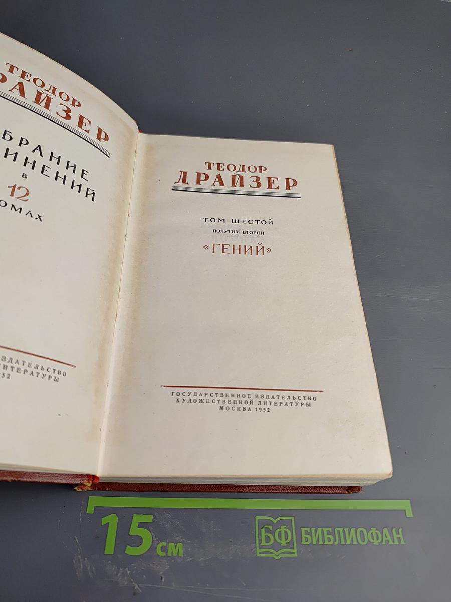 Гений. Книга вторая. Борьба (Продолжение). Том шестой. Полутом второй