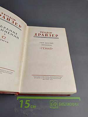 Гений. Книга вторая. Борьба (Продолжение). Том шестой. Полутом второй