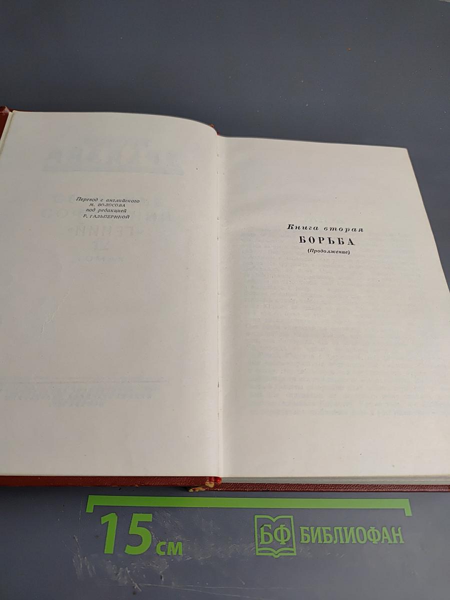 Гений. Книга вторая. Борьба (Продолжение). Том шестой. Полутом второй