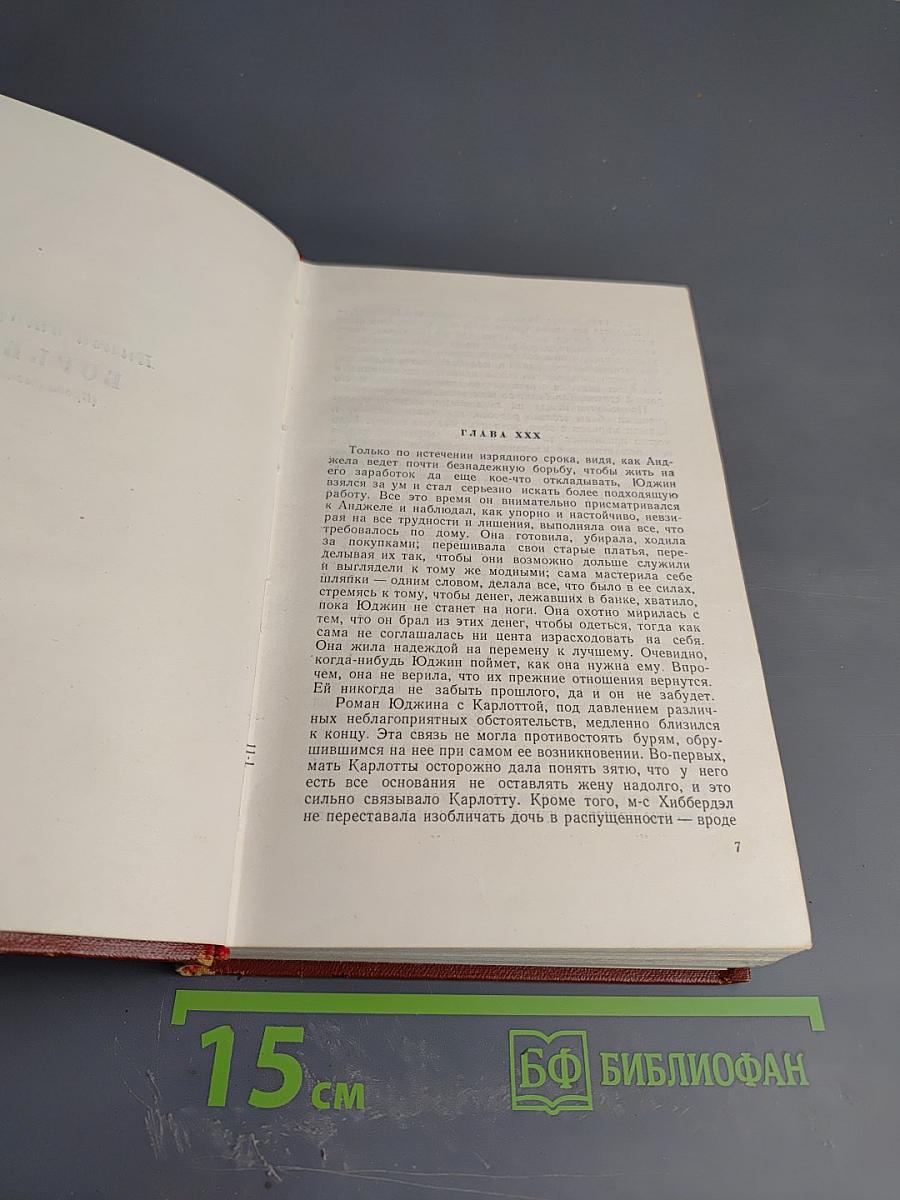 Гений. Книга вторая. Борьба (Продолжение). Том шестой. Полутом второй