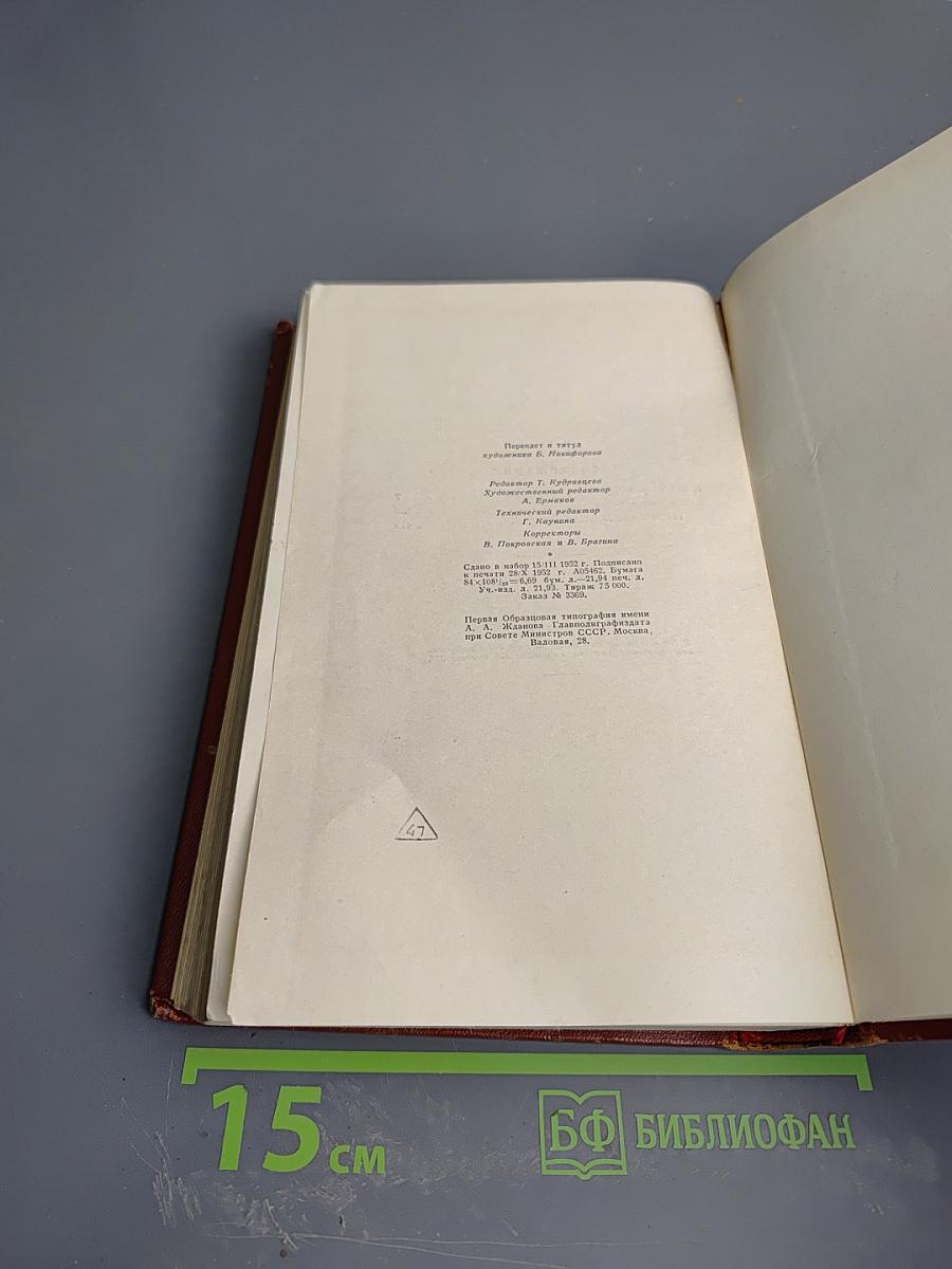 Гений. Книга вторая. Борьба (Продолжение). Том шестой. Полутом второй